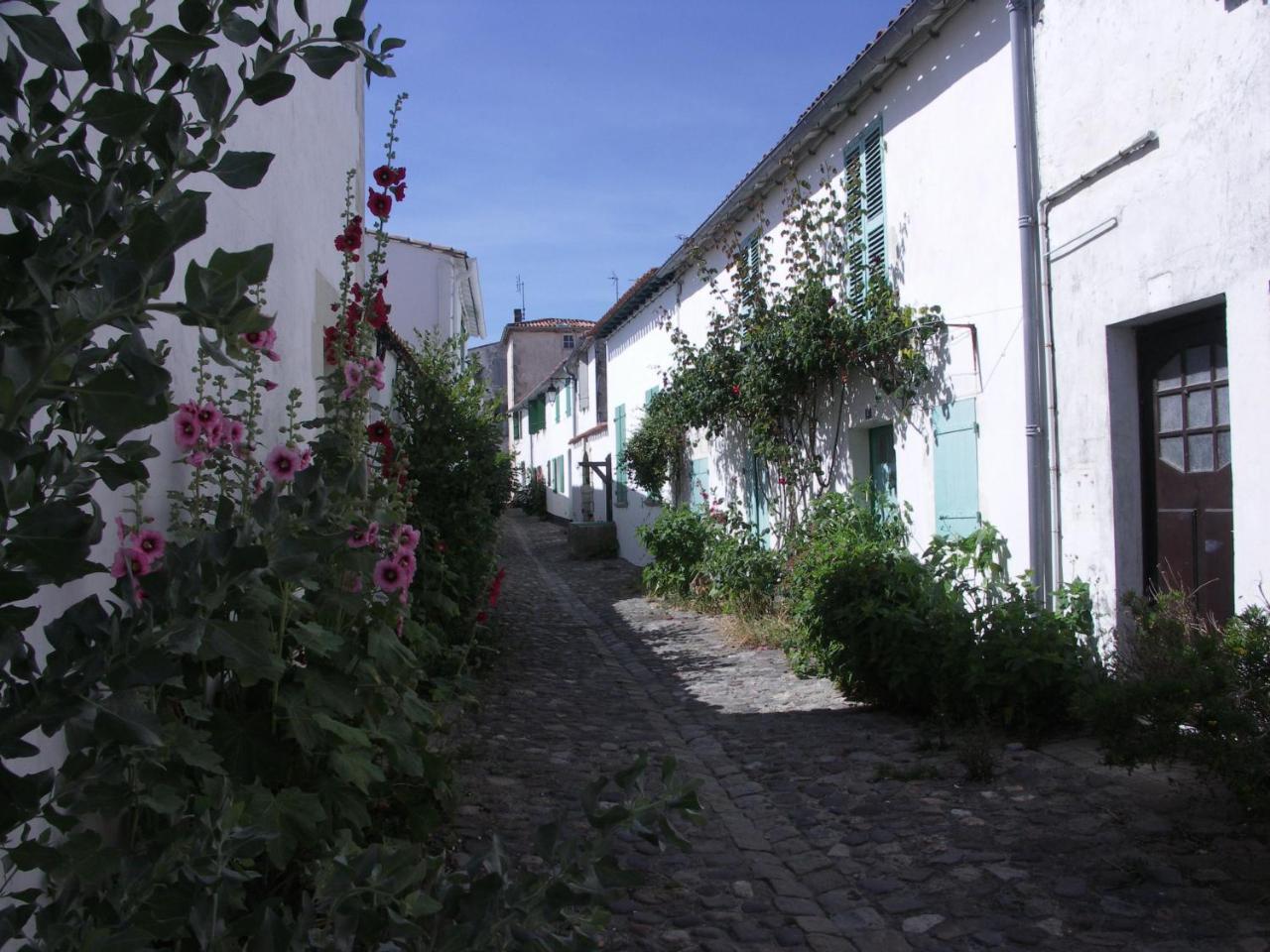 Maison Antioche Saint-Martin-de-Ré Dış mekan fotoğraf